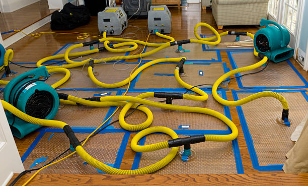 Professional Storm Water Damage Restoration technician working in New Baltimore, OH